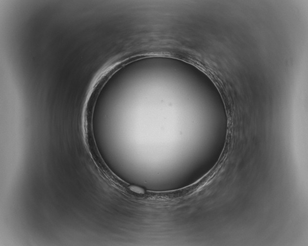 X0000115710294200911191255