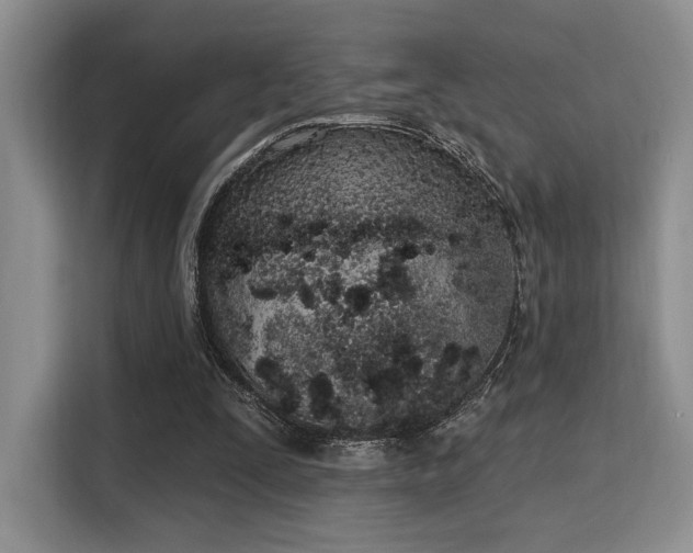 X0000115710295200911191255