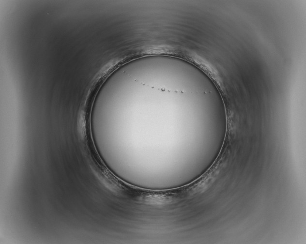 X0000115710298200911191255