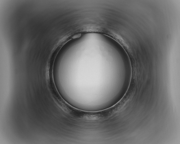 X0000115710299200911191255