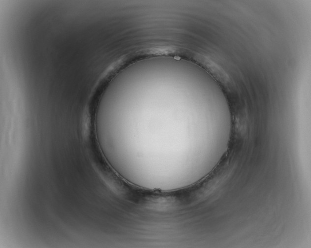 X0000115710304200911191255