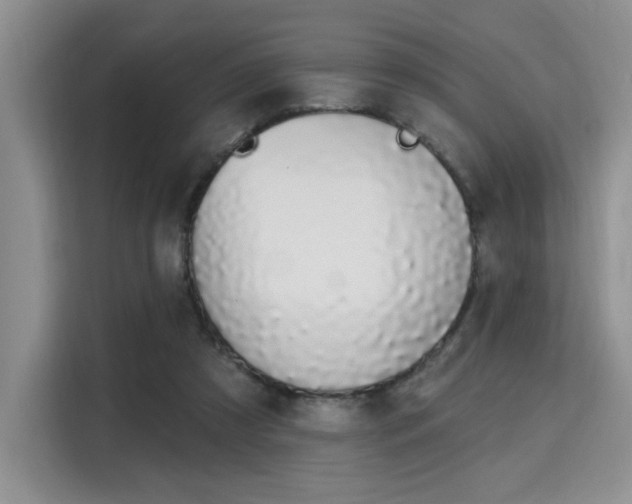 X0000115710305200911191255