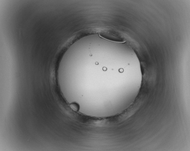 X0000115710306200911191255