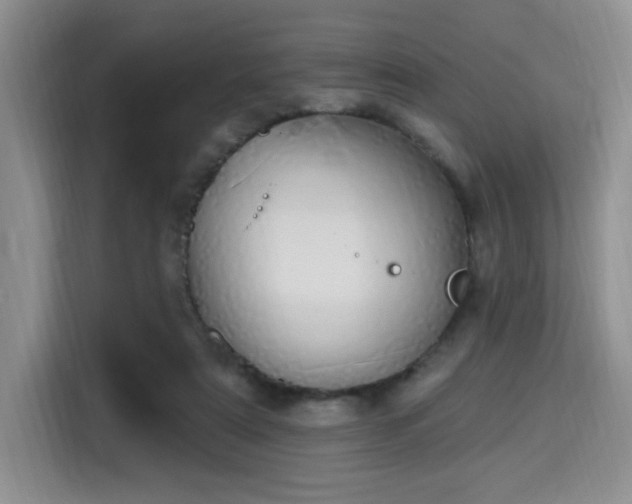 X0000115710307200911191255