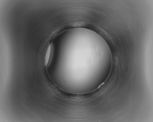 X0000115710308200911191255