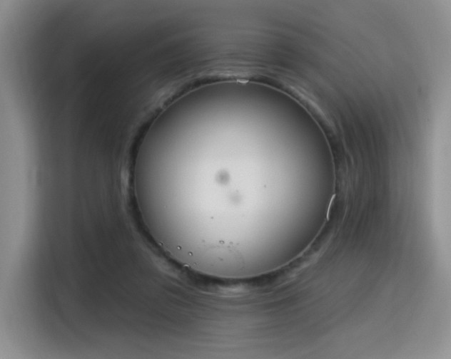 X0000115710309200911191255