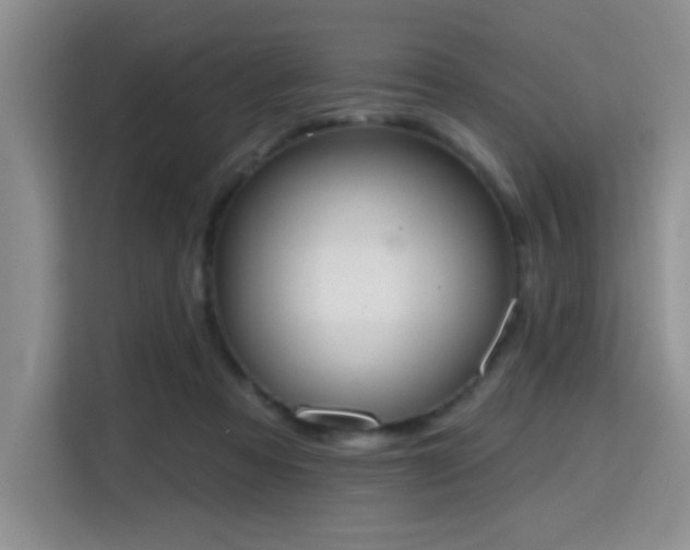 X0000115710313200911191255