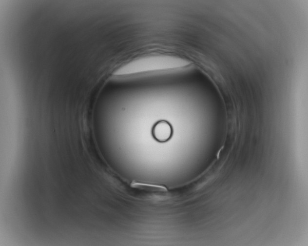 X0000115710317200911191255