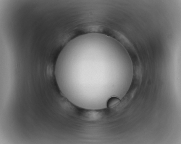 X0000115710326200911191255