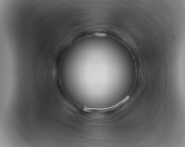 X0000115710328200911191255