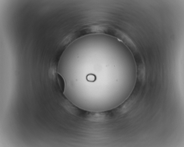 X0000115710329200911191255