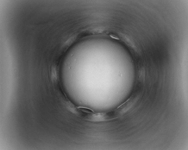 X0000115710335200911191255