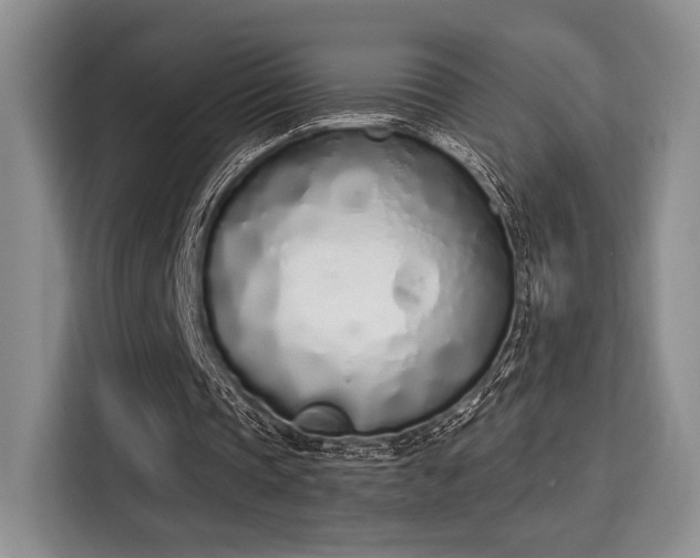 X0000115710337200911191254