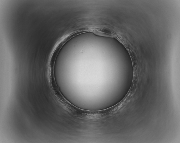 X0000115710342200911191254