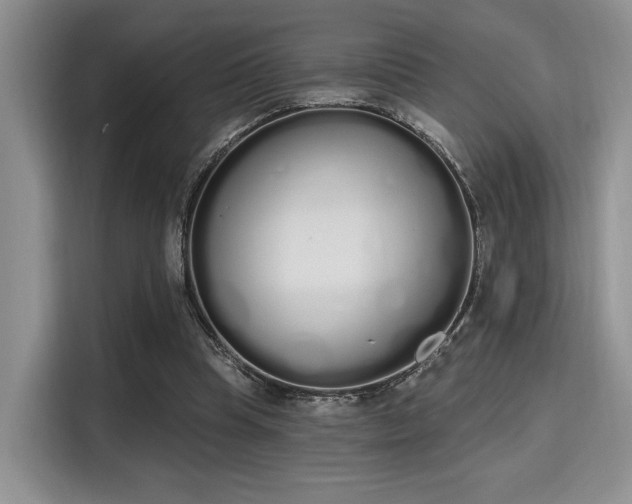 X0000115710345200911191254