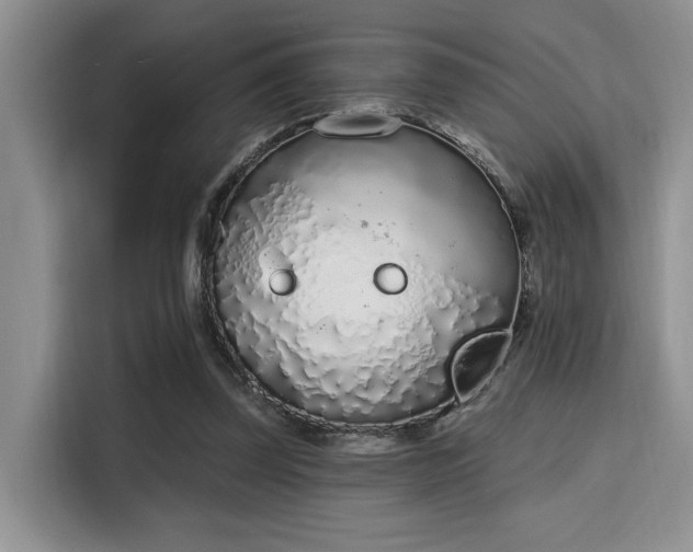 X0000115710347200911191254