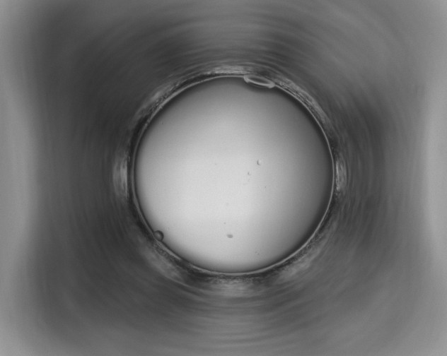 X0000115710349200911191254