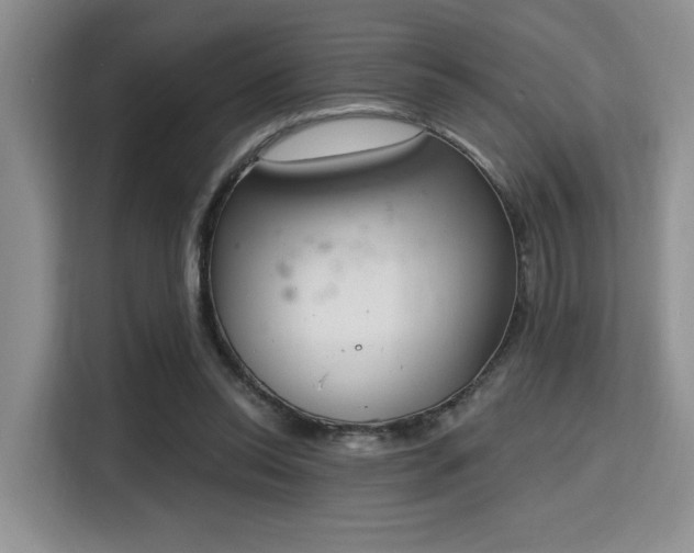 X0000115710350200911191254