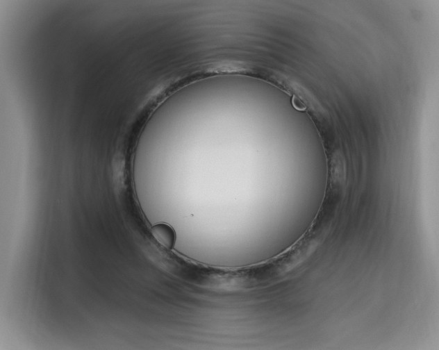 X0000115710351200911191254