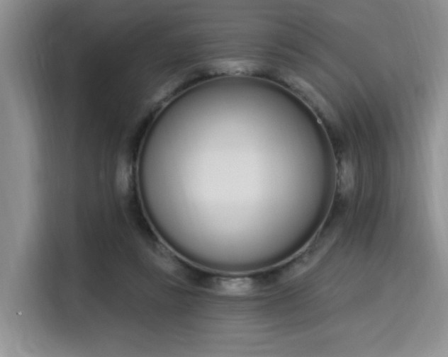 X0000115710355200911191254