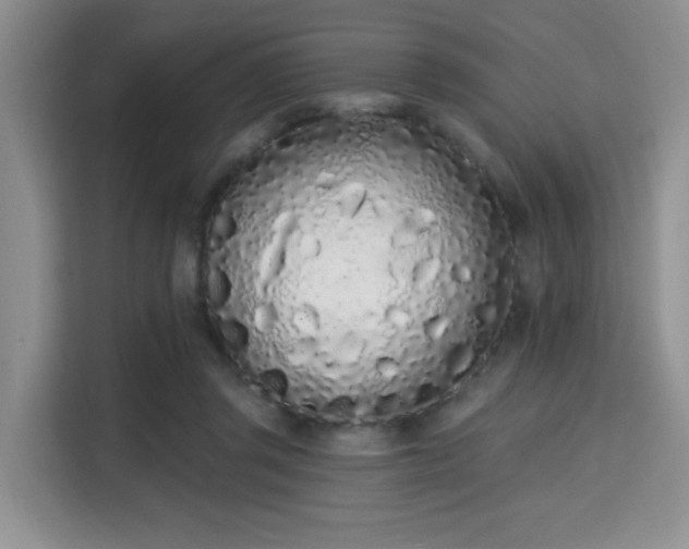 X0000115710357200911191254