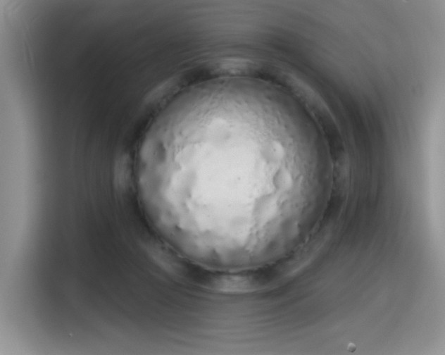 X0000115710361200911191254