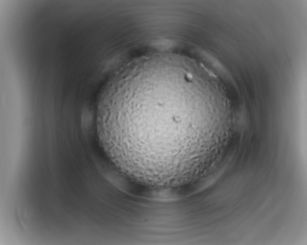 X0000115710365200911191254