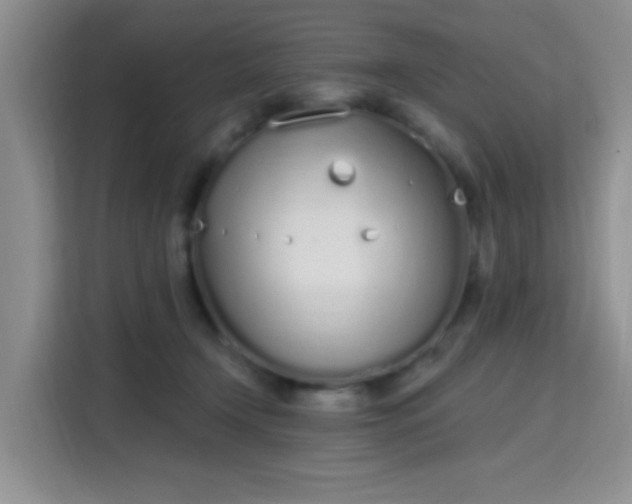 X0000115710366200911191254