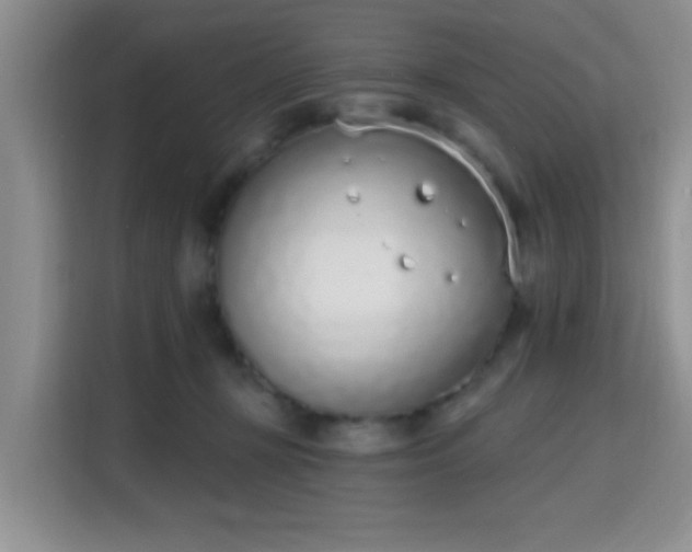 X0000115710367200911191254