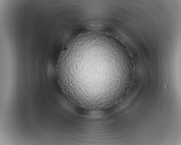 X0000115710371200911191254