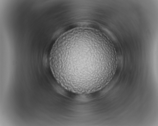 X0000115710381200911191254