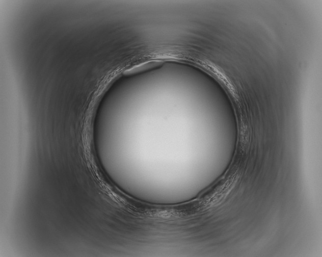 X0000115710385200911191254