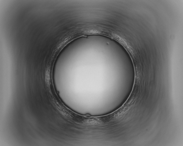 X0000115710386200911191254