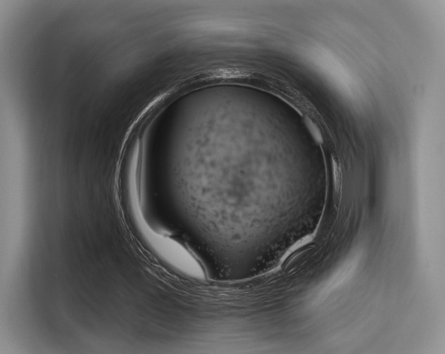 X0000115710387200911191254