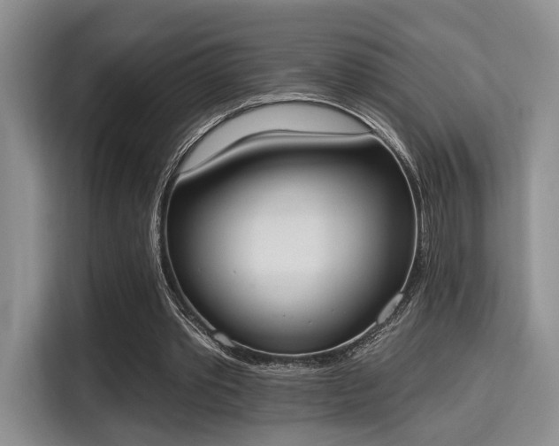 X0000115710389200911191254