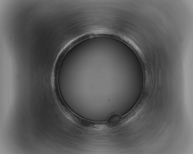 X0000115710391200911191254