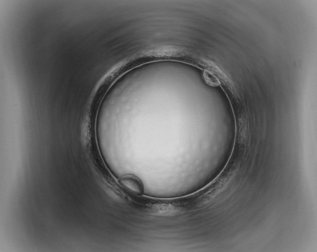 X0000115710392200911191254