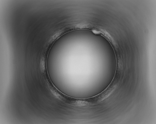 X0000115710393200911191254