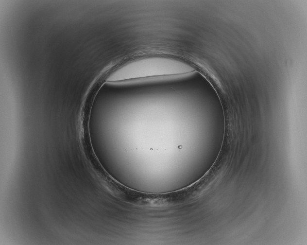 X0000115710395200911191254