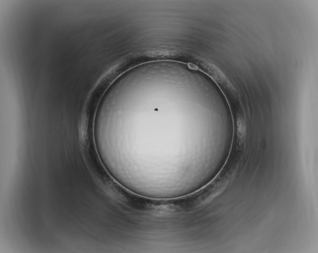 X0000115710396200911191254