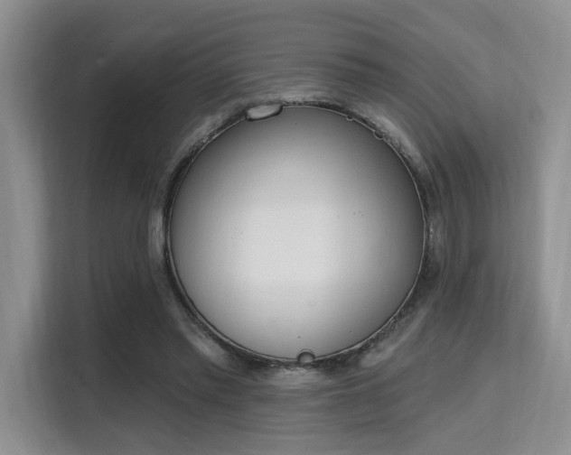 X0000115710397200911191254