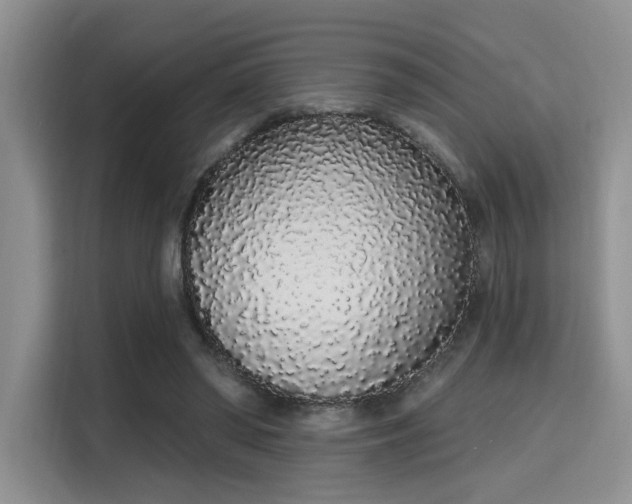 X0000115710398200911191254