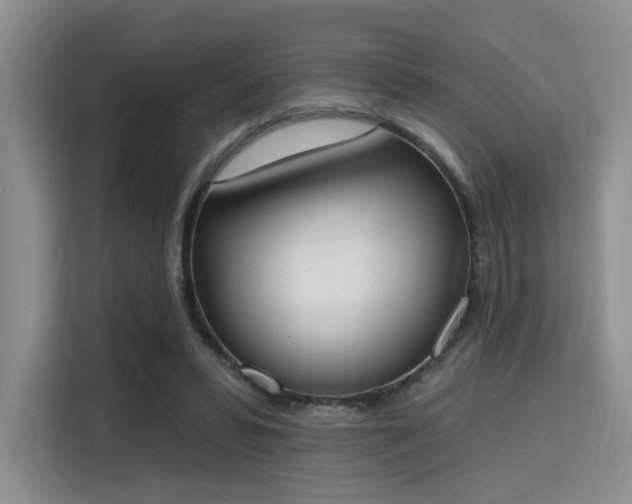 X0000115710399200911191254