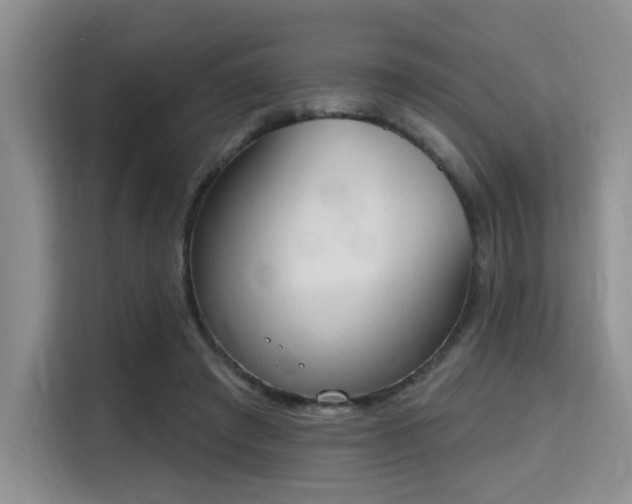 X0000115710401200911191254