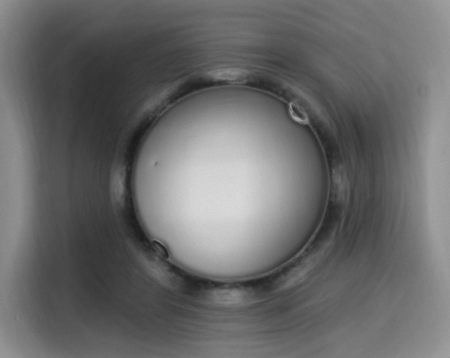 X0000115710404200911191253