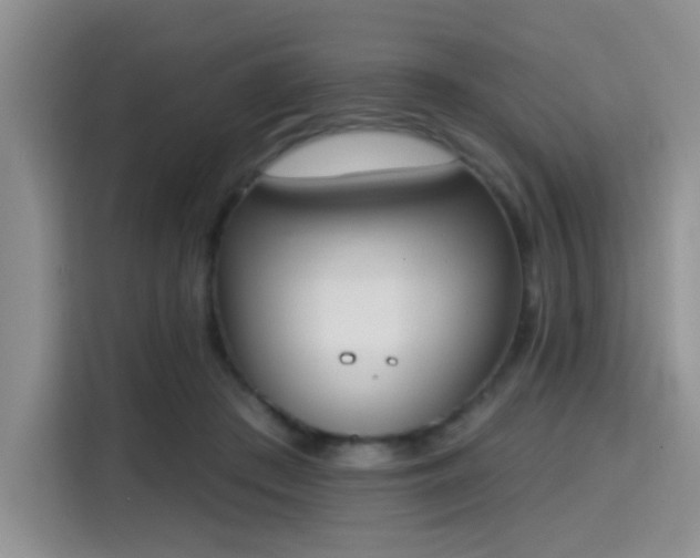 X0000115710409200911191253