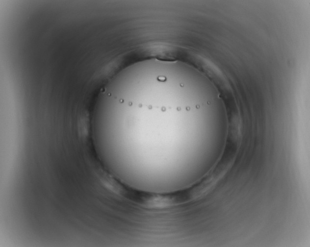 X0000115710413200911191253