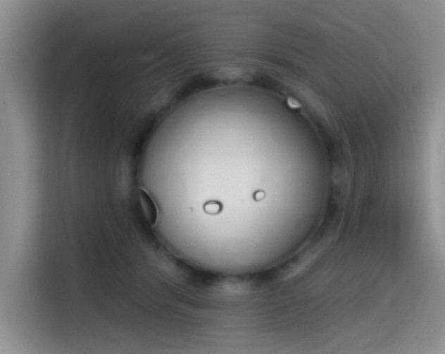 X0000115710416200911191253