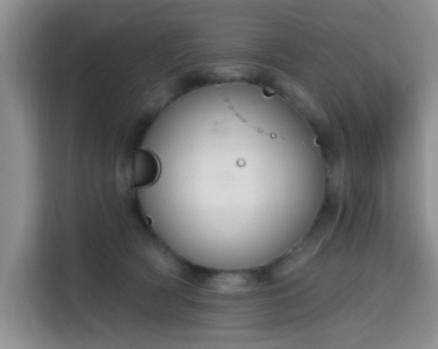 X0000115710418200911191253