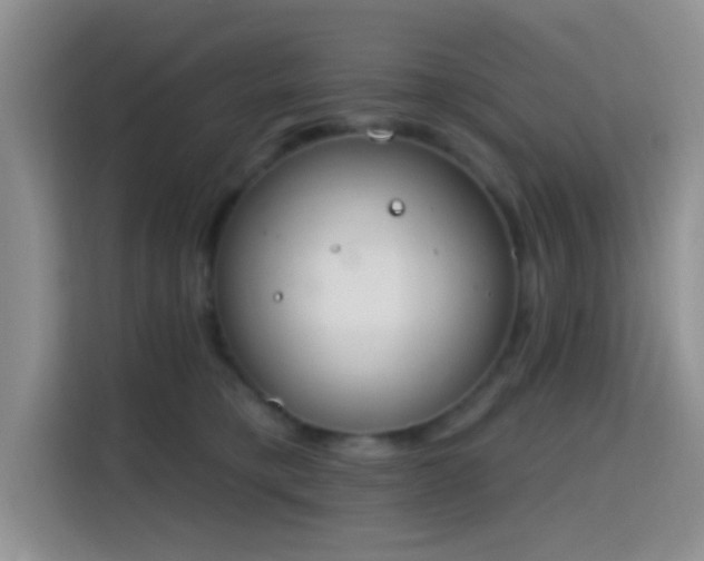 X0000115710421200911191253